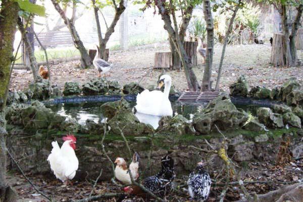 Apartamentos Rurales Rincon De Aiara Menagaray Zewnętrze zdjęcie